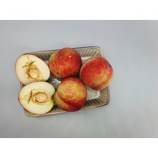 수확 달콤한 제철 신비복숭아 소과 6월 9일 예약 발송, 소과 1kg (16과 내외)