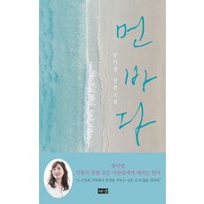 遠海： 孔枝泳長篇小說, 孔枝泳, Hainaim出版社