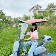자전거지붕 오토바이 전기자전거 스쿠터 레인 우산 캐노피 차양막 가림막, 핑크  (백미러 베이스 포함), 1개