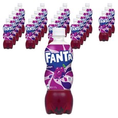 환타 Fanta 그레이프 PET 500ml X24개, 24개