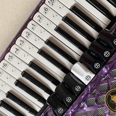 아코디언 키보드 Bayan 스티커 번호가 매겨진 음악 표기 및 직원 초보자 입문 손쉬운 청소 손상 없음, 1.Black character, 1개