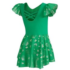 DIPUG 여아용 발레 레오타드 스커트 포함 반짝이는 유아 댄스 레오타드 나비 핑크, 그래스 그린