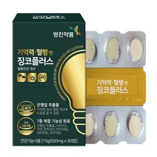 은행잎 징코 기억력 혈행 케어, 30회분, 2세트