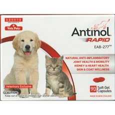 안티놀 래피드 관절영양제 90캡슐, 90정, 뼈/관절강화, 1개