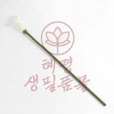 카라 조화 화이트 혜명생필품몰