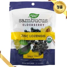네이쳐스웨이 삼부커스 비타민C 함유 아연 사탕 정제 허니 레몬 24개, 1개, 240정