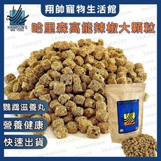哈里森 高能 日常 鸚鵡飼料 嘗試包, 1個, 辣椒大顆粒,透明袋裝100g