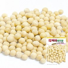 아시아 백태 메주콩 씨앗 50g, 1개