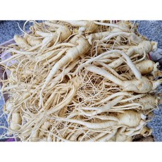 실속형 풍기인삼 6년근 깨끗한 A급 1005g/250g난수삼 무료세척인삼 현대만석인삼사, 255g, 1세트