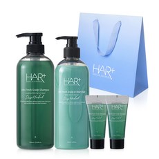 헤어플러스 오프레시 건성 두피 안티에이징 각질케어 쿨샴푸 헤어팩 선물세트 기능성, 헤어플러스 오프레시 건성 두피 안티에이징 각질케어 쿨샴