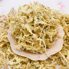 [크레크레] 뉴질랜드산 4A 수태 습식은신처 도마뱀 산란 바닥재, 1개, 4a(10g)