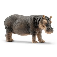(선물완구)슐라이히 하마 SL14814 Hippopotamus 피규어, 1개