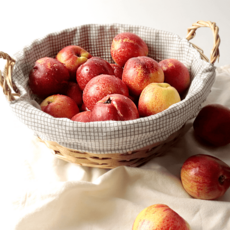 국내산 경북 신비복숭아 1kg 2kg 제철과일 당일수확 달콤과즙, 1개, 중과 1kg