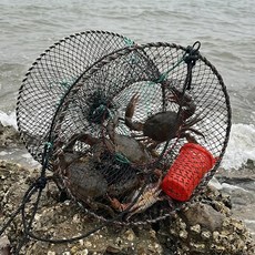 청춘어락 어부가쓰는 느면나와 어민 바다통발세트+미끼통+로프 20m, 블랙