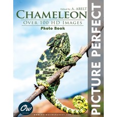 (영문도서)Chameleon: Picture Perfect Photo Book Paperback, Independently Published, English, 9798272111098
