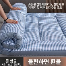 토퍼 매트리스 허리 지지 침대 손님용 수면 매트 단단한, 1cm, 블루 체크