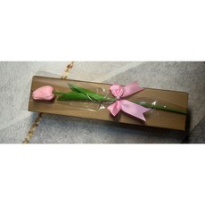튜울립, 1개, 베이직핑크1송이