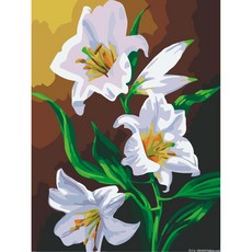 라오농 유화 손그림 diy 백합화 유채 채색 수채화 화훼 풍경 수제화 거실 장식 DIY그리기 백합 해바라기 꽃병 모란꽃 꽃그림 유화그리기 세트 액자 프레임 거실 풍경 꽃 손으로, 60*75(안쪽 테두리 고정), JY130, 화판 화필 물감, 1개