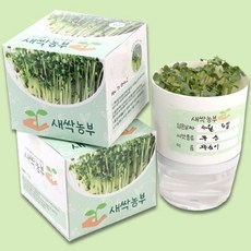 새싹 농부 (무순) 씨앗 잔디 인형 키우기 식물 키트 채소, 상세페이지 참조