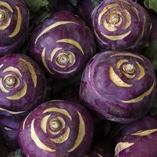 국내산 햇 콜라비 1kg 2kg