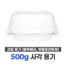 블루베리 용기 500g 사각 (100개) / 베리류 아로니아 오디 복분자 방울토마토 과일 포장 용기, 1세트, 100개입