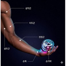 6세대 자이로볼 전완근 손목 근력 운동 악력 팔씨름