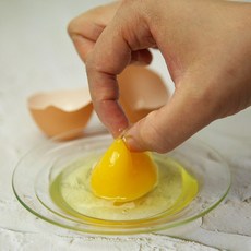 진사골 지리산 자연방사 유정란 (당일산란), 1개, 40구