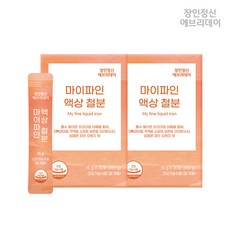 마이파인 액상 철분 장인정신 에브리데이, 450g, 2박스