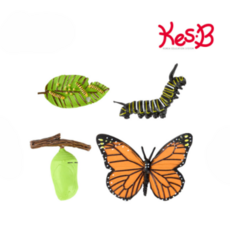 캐스비 네이처 성장과정 피규어 나비 세트, 1세트