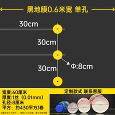 마늘 비닐 유공 멀칭 양파 구멍 뚫린 8구 고추 10구, 1개, 검정 0.6m 폭 700m (1열 30x30)
