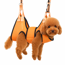 바람펫 강아지 고양이 해먹 미용 거치대 M, 오렌지, 1개