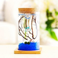 유리 마리모 테라리움 키우기 코르크 병 led 75514pc 1(PC)