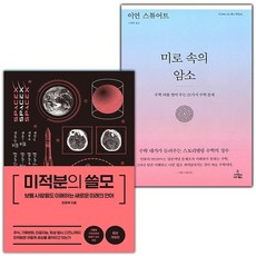 미적분의 쓸모+미로 속의 암소 세트