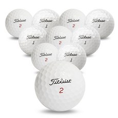 나이스골프 타이틀리스트 PRO V1_V1X 혼합 A-급 로스트볼, 1개, 10개, 화이트, 10개입