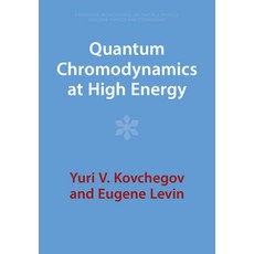 (영문도서) Quantum Chromodynamics at High Energy Paperback, Cambridge University Press, English, 9781009291422