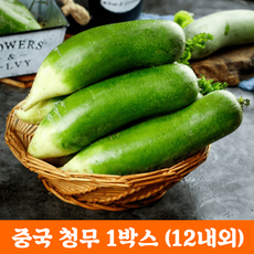 홍홍 중국식품 중국 청무 무우 중국무 1박스 (12개내외)