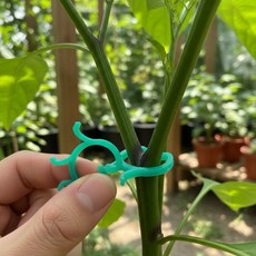 다있쏘몰 식물 고정 클립 20P 나비