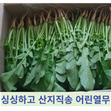 [국내산] 싱싱하고 아삭아삭 깔끔손질 농가직송 어린열무 열무 열무김치, 1개, 2kg