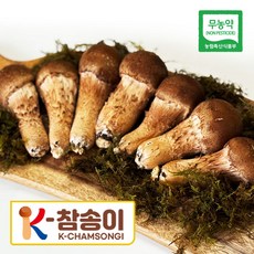 참송이버섯 [K-참송이] 친환경 국산 무농약 특 A B 가정용 등급 300g, 1개, A 등급 300g