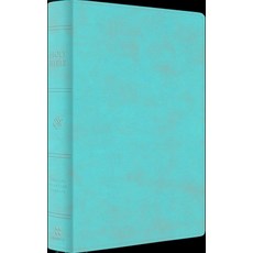 (영문도서)ESV Giant Print Personal Size Bible (Trutone Chestnut) Imitation Leather, Crossway, English, 9798874906412