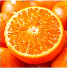 [3일간초특가] 제주직송 새콤달콤 제주도 천혜향, 1개, 10kg