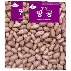 세인화분 땅콩씨앗 30g 땅콩 씨앗 땅콩씨 파종 종자, 2개 2개