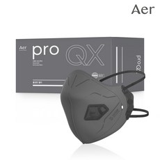 아에르 Pro QX200F (프로 큐엑스) 1급 방진마스크 냄새제거용 활성탄 첨가/산업용 공사현장 분진마스크 용접용 100% 국산, 10개입, 그레이