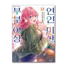 부부 이상 연인 미만. 13 디앤씨미디어