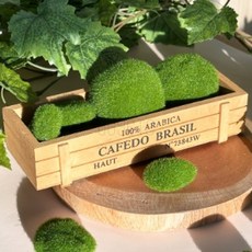 모조 이끼바위 돌 조경 세트 10입 수족관꾸미기, 10개