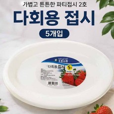 다회용접시 5개입 / 일회용 파티접시 224x302mm, 1개