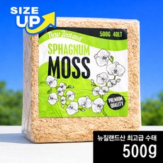 농대나온남자 대용량 고급 수태 모스 500g 뉴질랜드산 AA 비바리움 파충류 난 베고니아, 1개