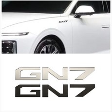 자동차엠블렘 자동차튜닝스티커 D21 그랜저 GN7 아크릴 레터링 엠블럼 스티커 뱃지 자동차꾸미기 g9g214Ds, 블루, 블루, 단일
