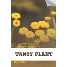 (영문도서) Tansy Plant: Become flowers expert Paperback, Independently Published, English, 9798884595200