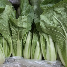 통째로팜 국내산 얼갈이 배추 4kg 박스, 1박스